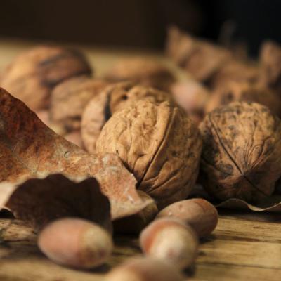 Noix et noisettes