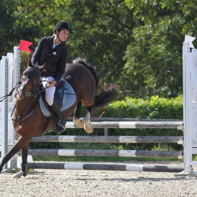 Concours Equestre