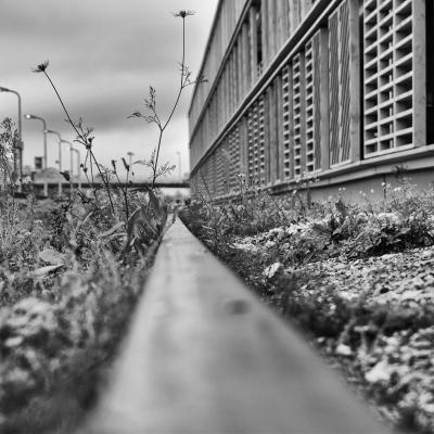 Sur le rail
