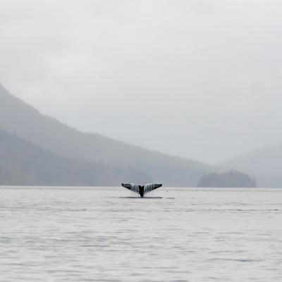 Gwaï Haanas