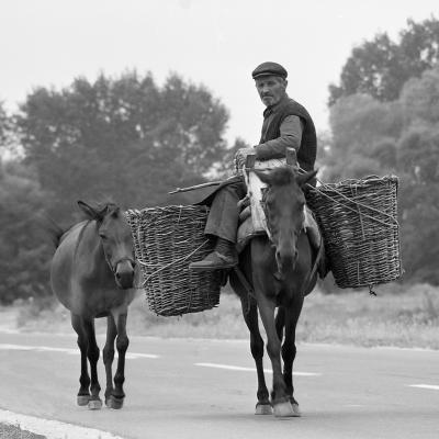 En voyage