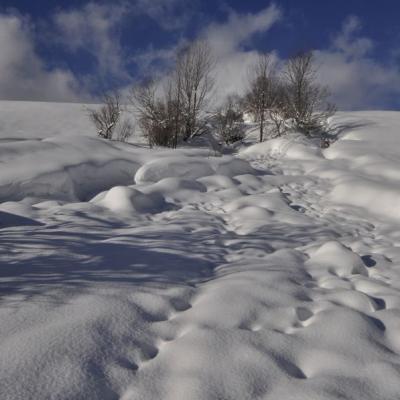 Manteau blanc