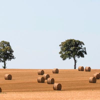 Paysage De Bellay