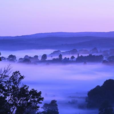 La brume