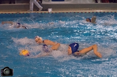water-polo-france-hongrie-2015-troyes-121