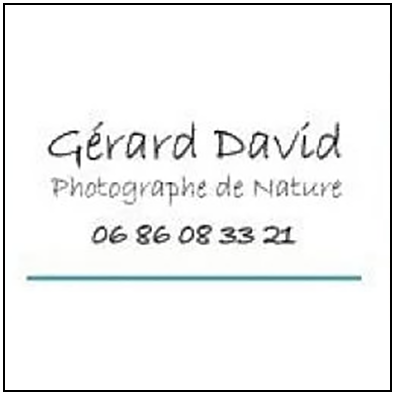 Logo Gérard David
