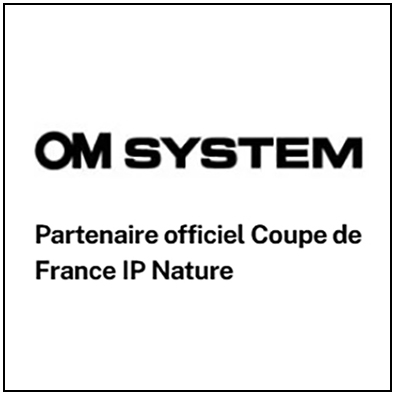 Logo OM System