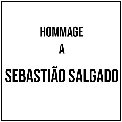 Cristianne Rodrigues